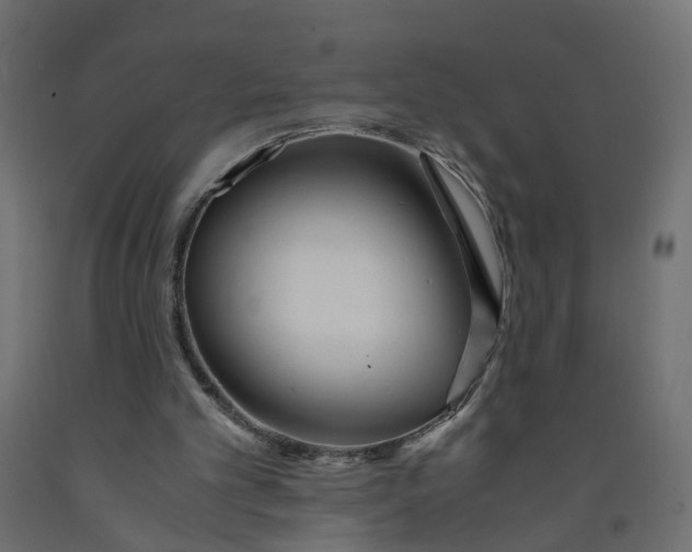 X0000091980101200710041118