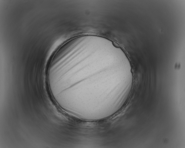 X0000091980102200710041118