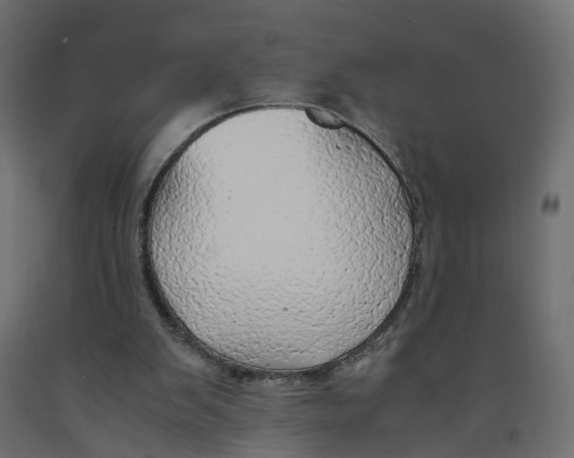 X0000091980103200710041118