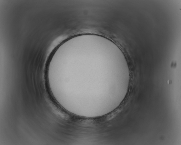 X0000091980104200710041118