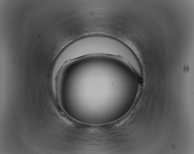 X0000091980105200710041118