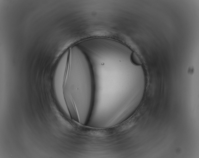 X0000091980106200710041118