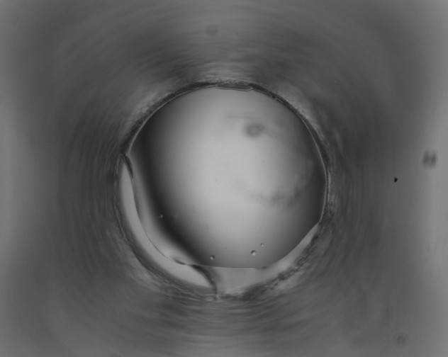 X0000091980109200710041118