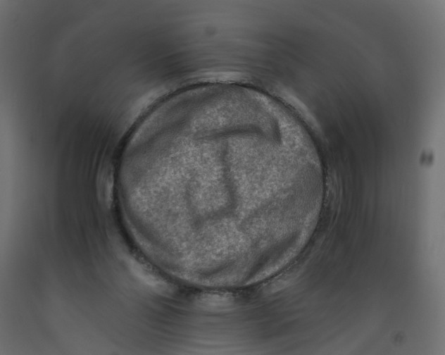 X0000091980110200710041118