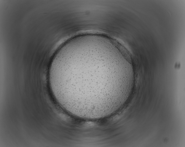 X0000091980111200710041118