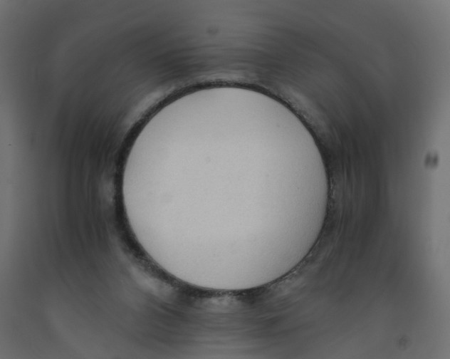 X0000091980112200710041118