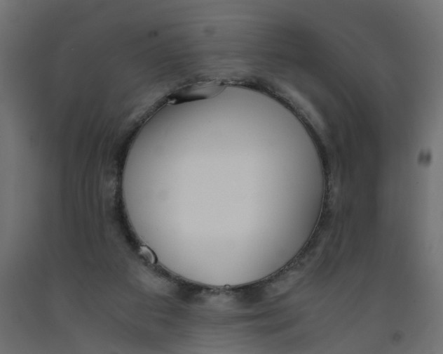 X0000091980113200710041118