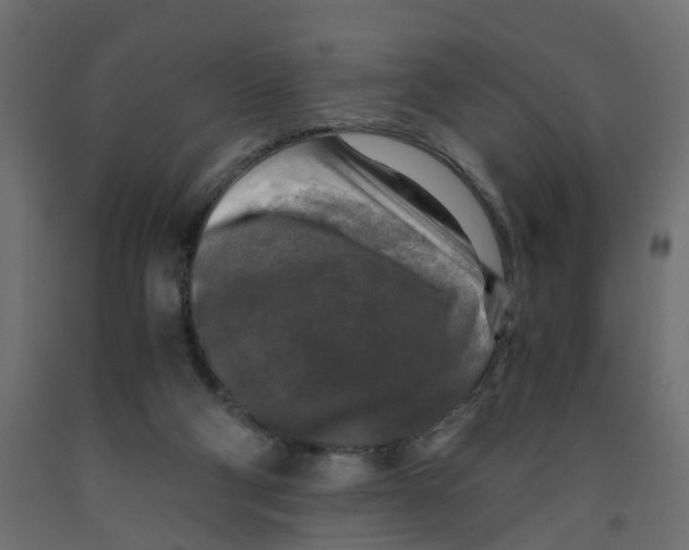 X0000091980114200710041118