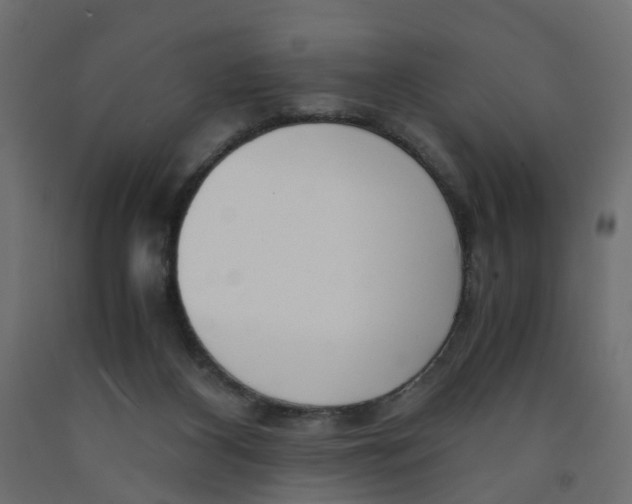 X0000091980116200710041118