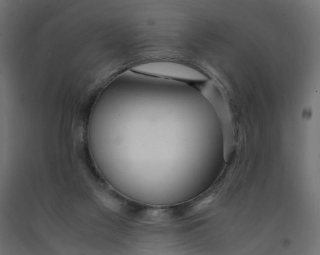 X0000091980117200710041118