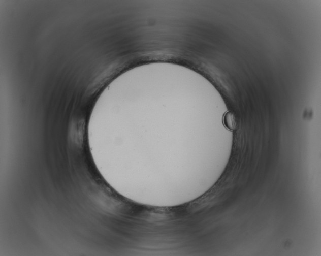 X0000091980118200710041118