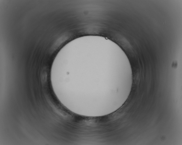 X0000091980120200710041118