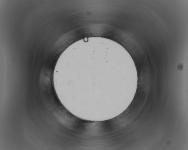 X0000091980122200710041118