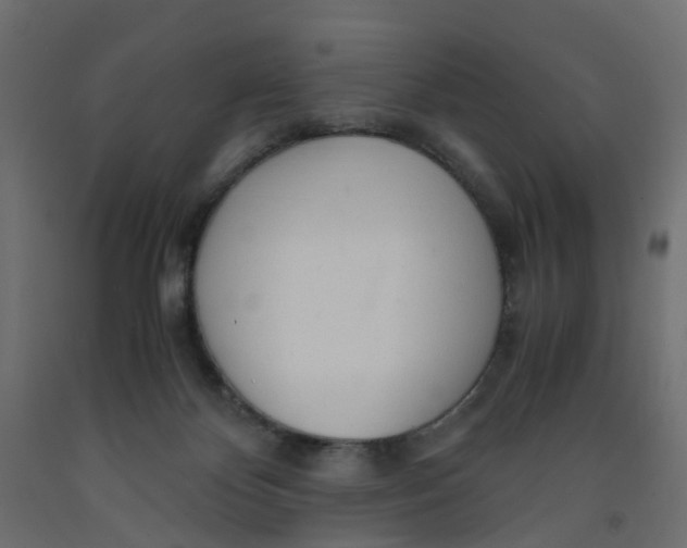 X0000091980124200710041118