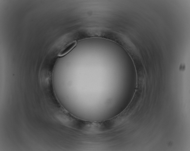 X0000091980125200710041118