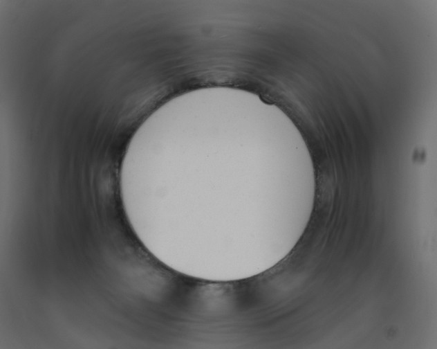 X0000091980126200710041118