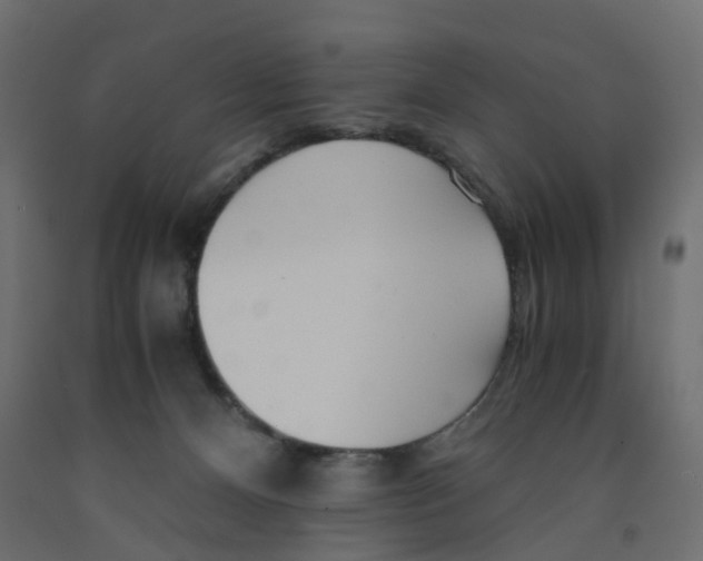 X0000091980128200710041118