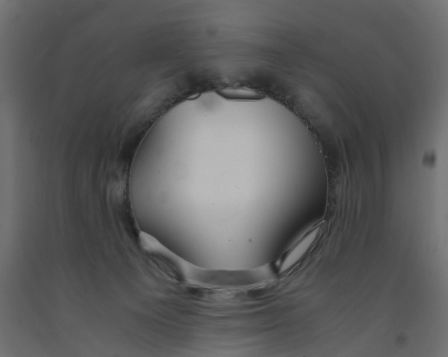 X0000091980129200710041118
