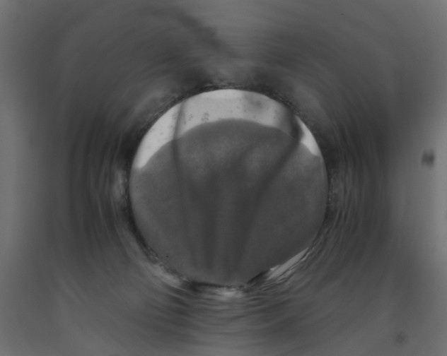 X0000091980130200710041118