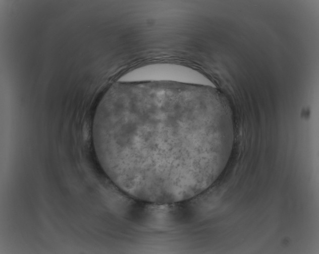 X0000091980131200710041118