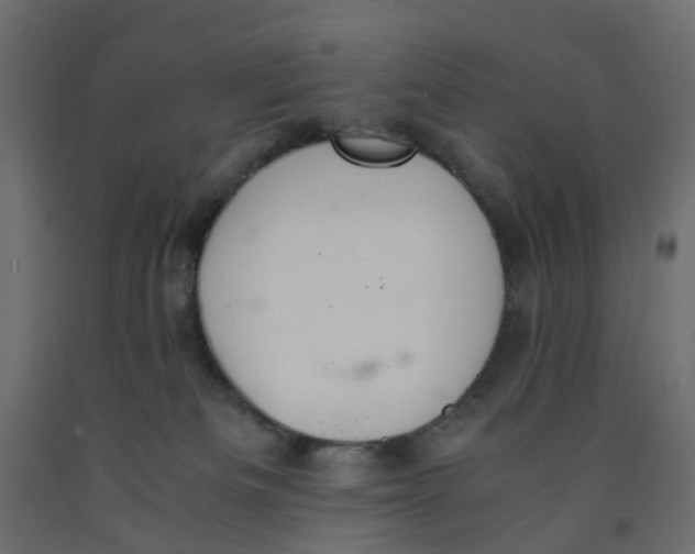 X0000091980133200710041118