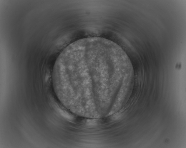 X0000091980134200710041118