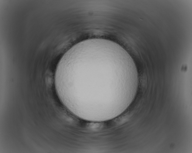 X0000091980135200710041118