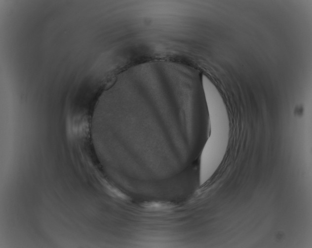 X0000091980137200710041118