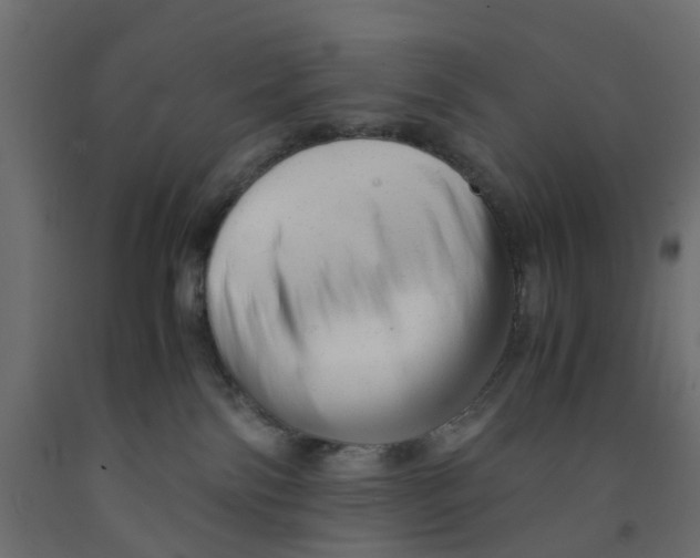 X0000091980138200710041118
