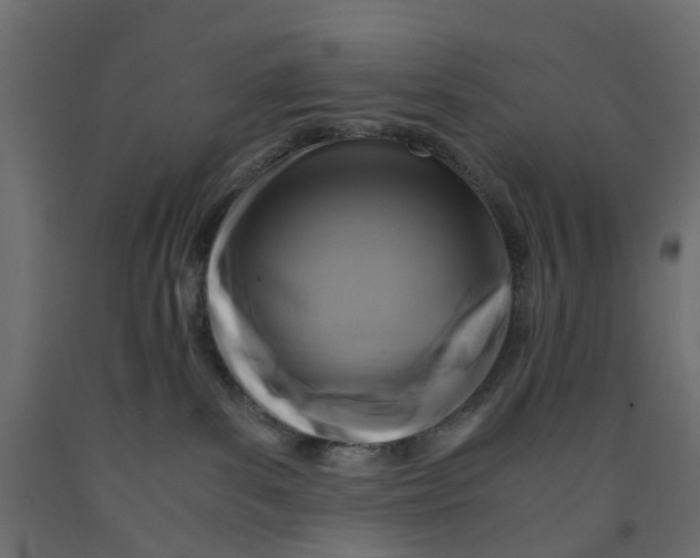 X0000091980139200710041118