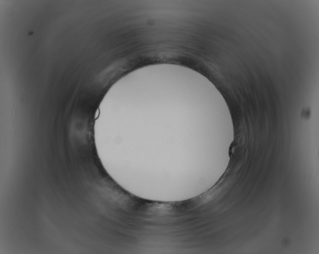 X0000091980140200710041118