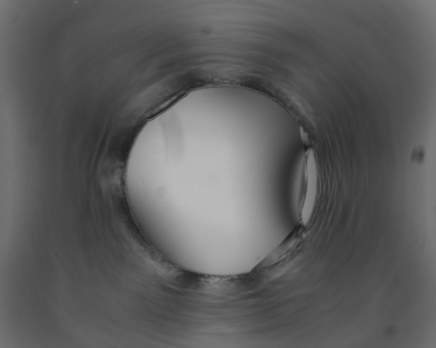 X0000091980141200710041118
