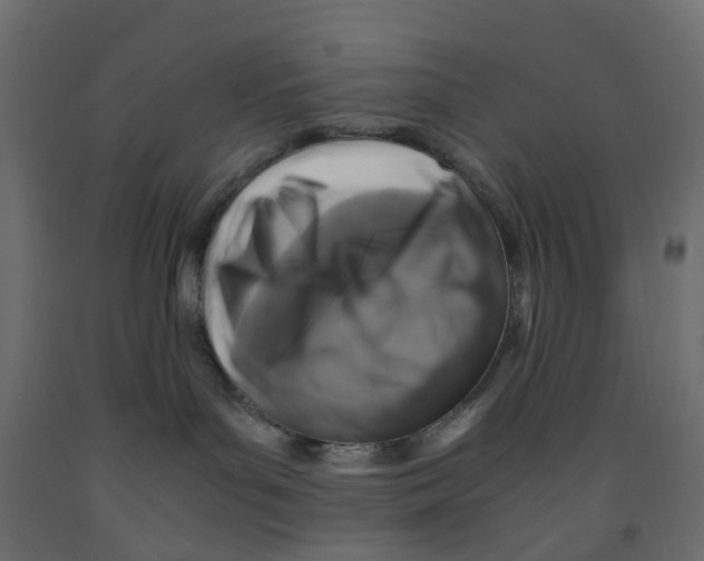 X0000091980143200710041117