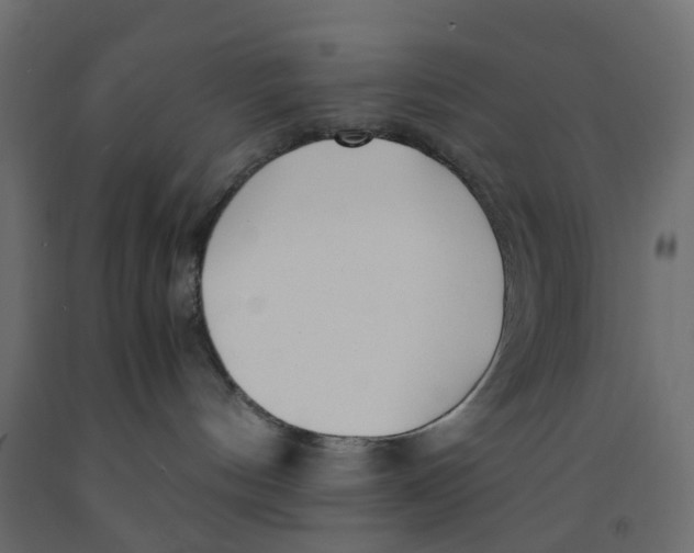 X0000091980144200710041117
