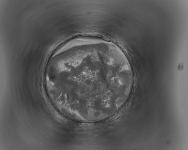 X0000091980145200710041117