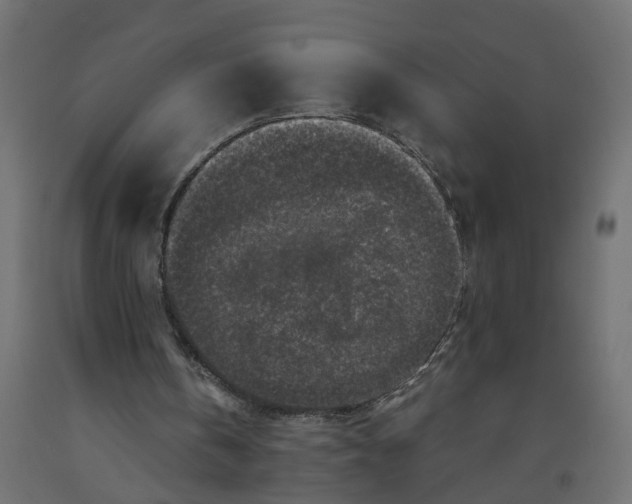 X0000091980146200710041117