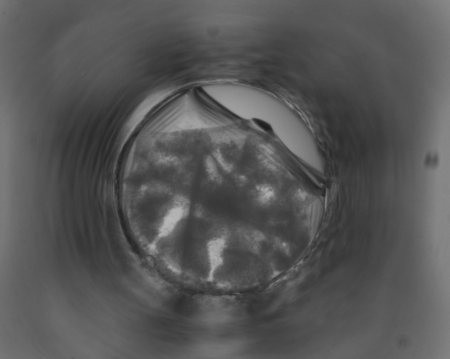 X0000091980147200710041117