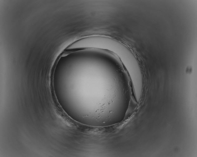 X0000091980148200710041117