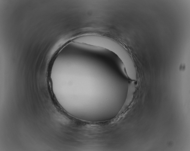X0000091980150200710041117