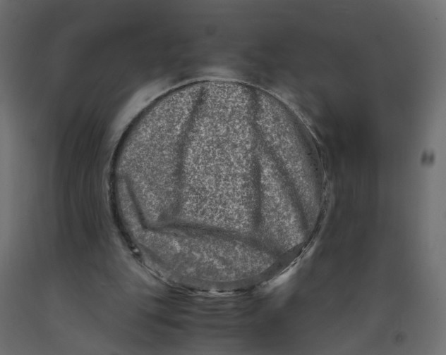 X0000091980151200710041117