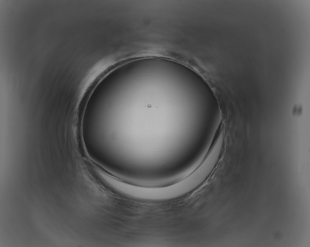 X0000091980152200710041117