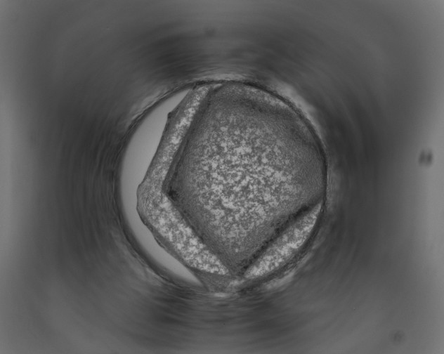 X0000091980153200710041117