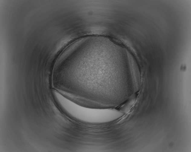 X0000091980154200710041117