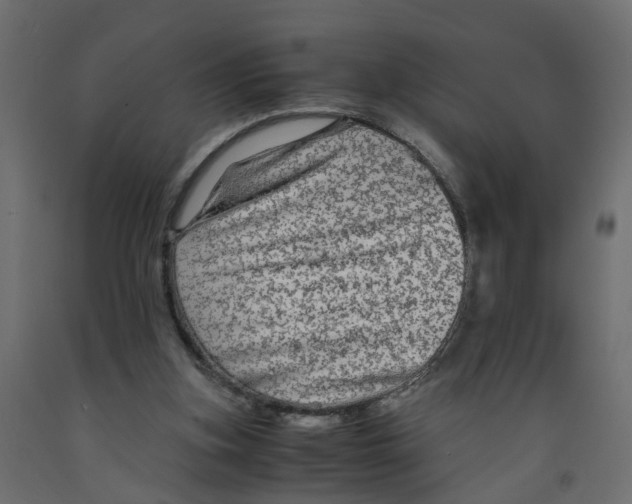X0000091980155200710041117