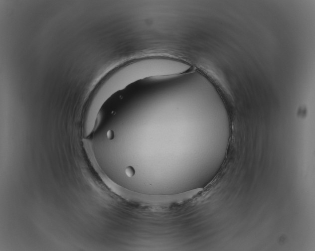 X0000091980156200710041117