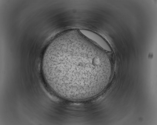 X0000091980157200710041117
