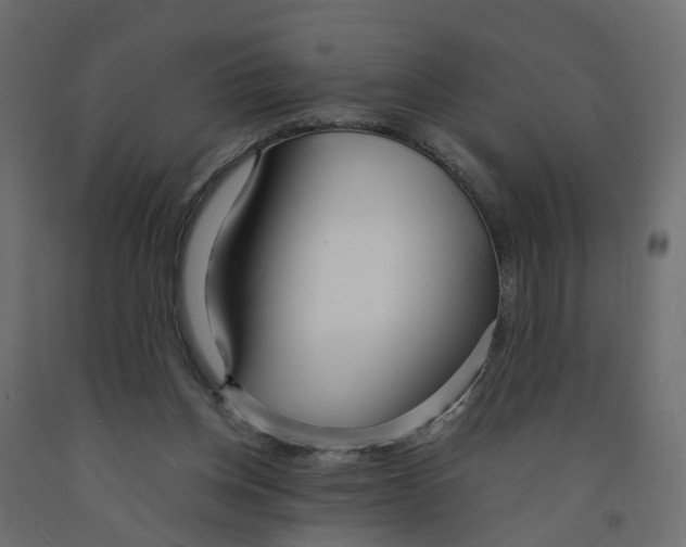 X0000091980158200710041117