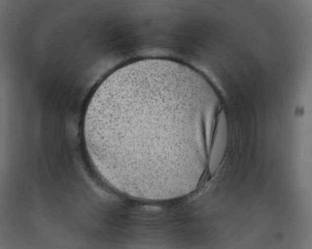 X0000091980159200710041117