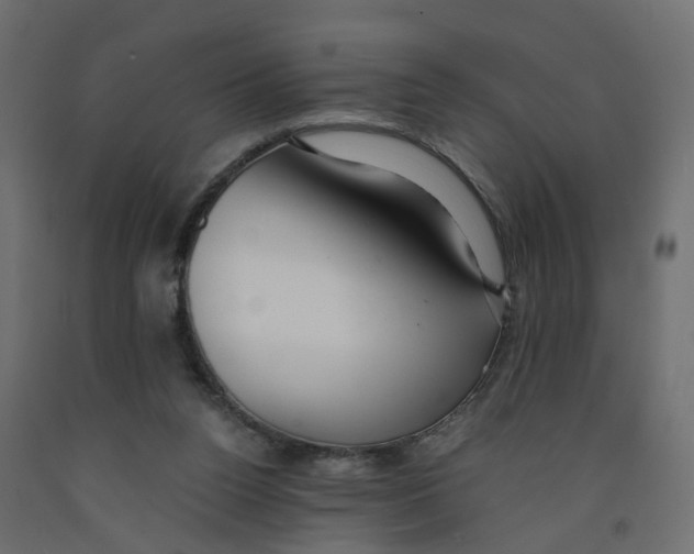 X0000091980160200710041117