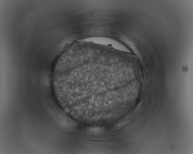 X0000091980161200710041117